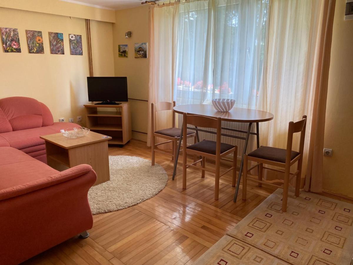 Dusa Zlatibora Apartment