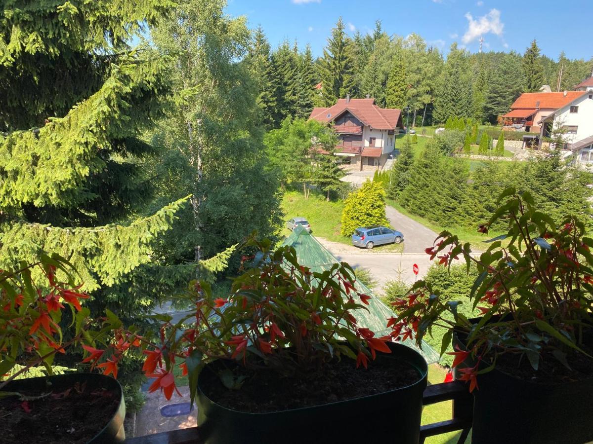 Dusa Zlatibora Apartment